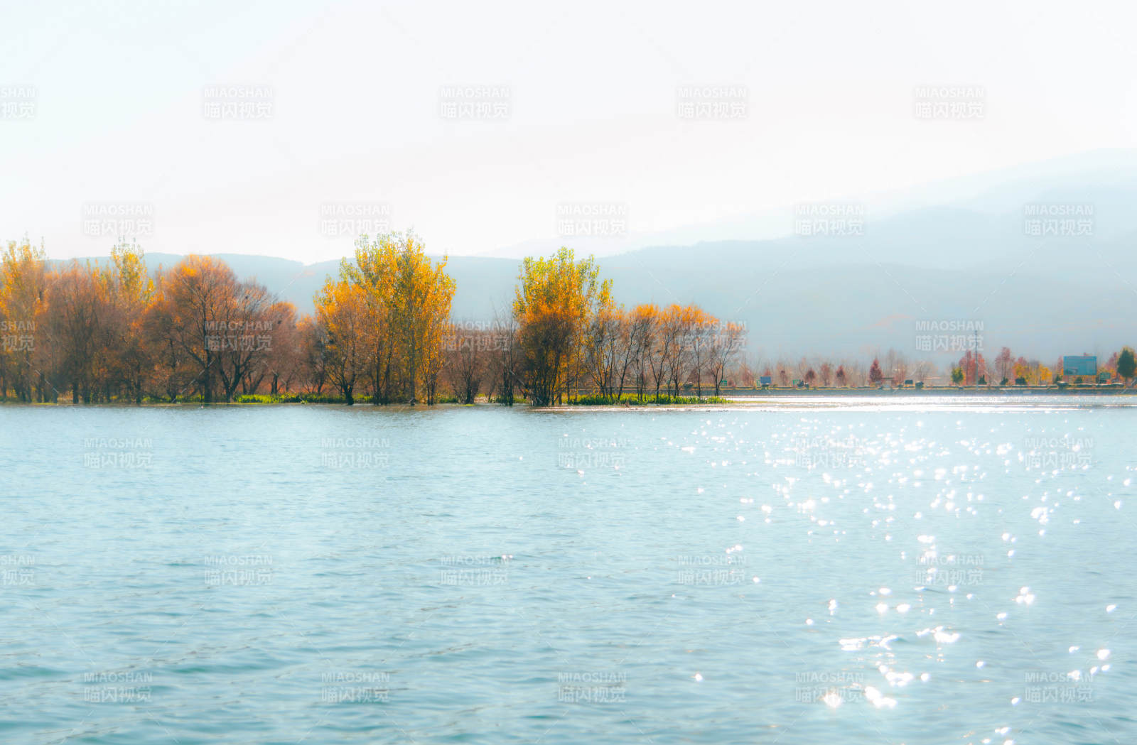 湖光山色树影微波粼粼印象茈碧湖图片