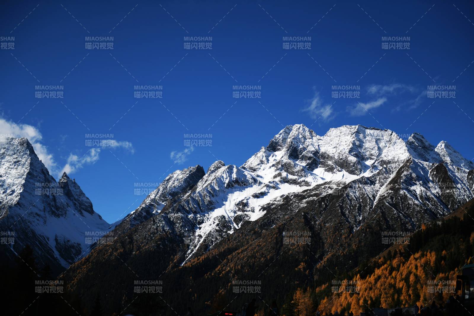 四姑娘山双桥沟雪山秋色图片