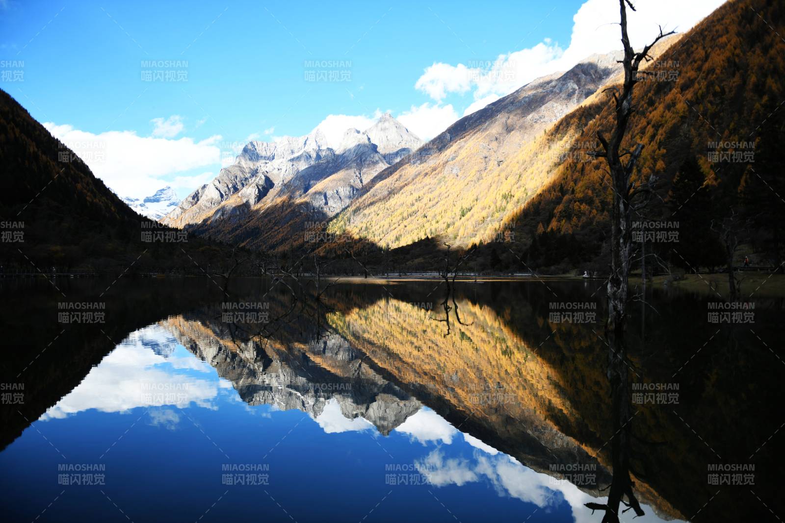 四姑娘山双桥沟湖光山色倒影美图片