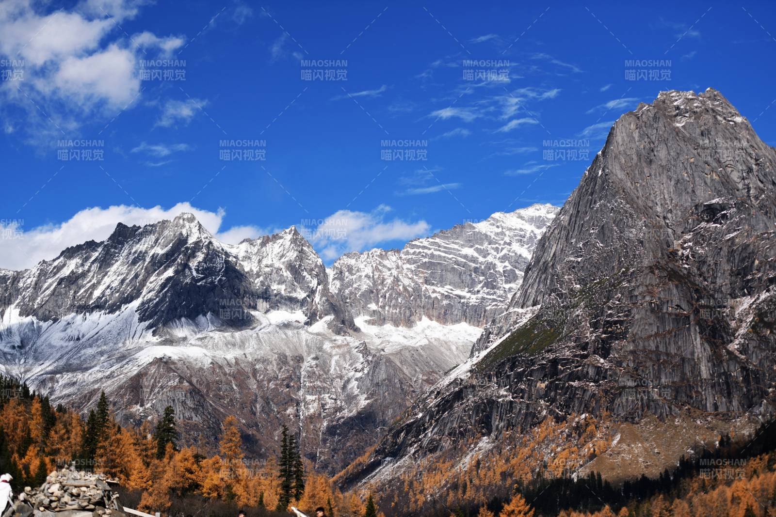 四姑娘山双桥沟雪山秋林美景图片