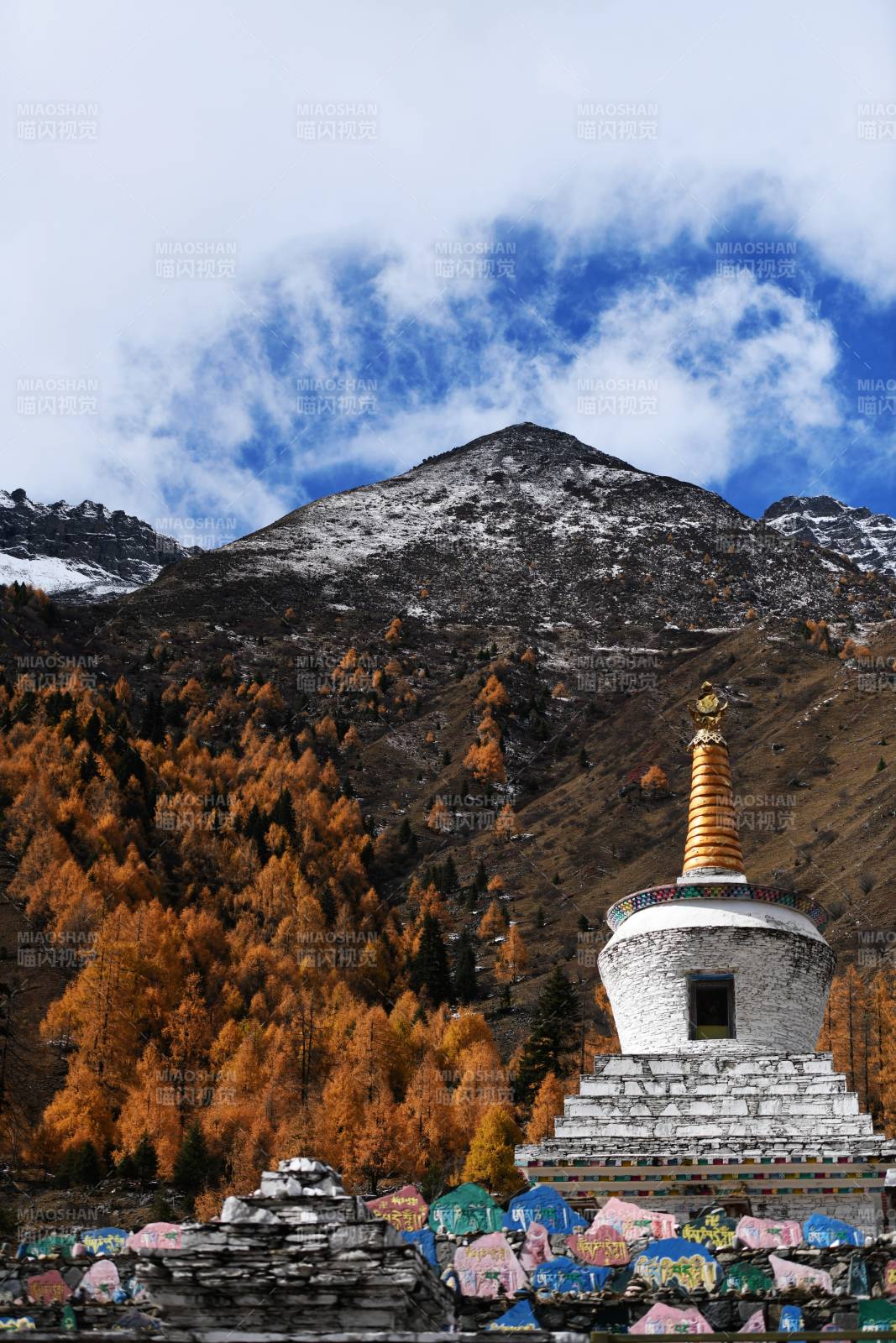 四姑娘山双桥沟雪山秋林佛塔图片