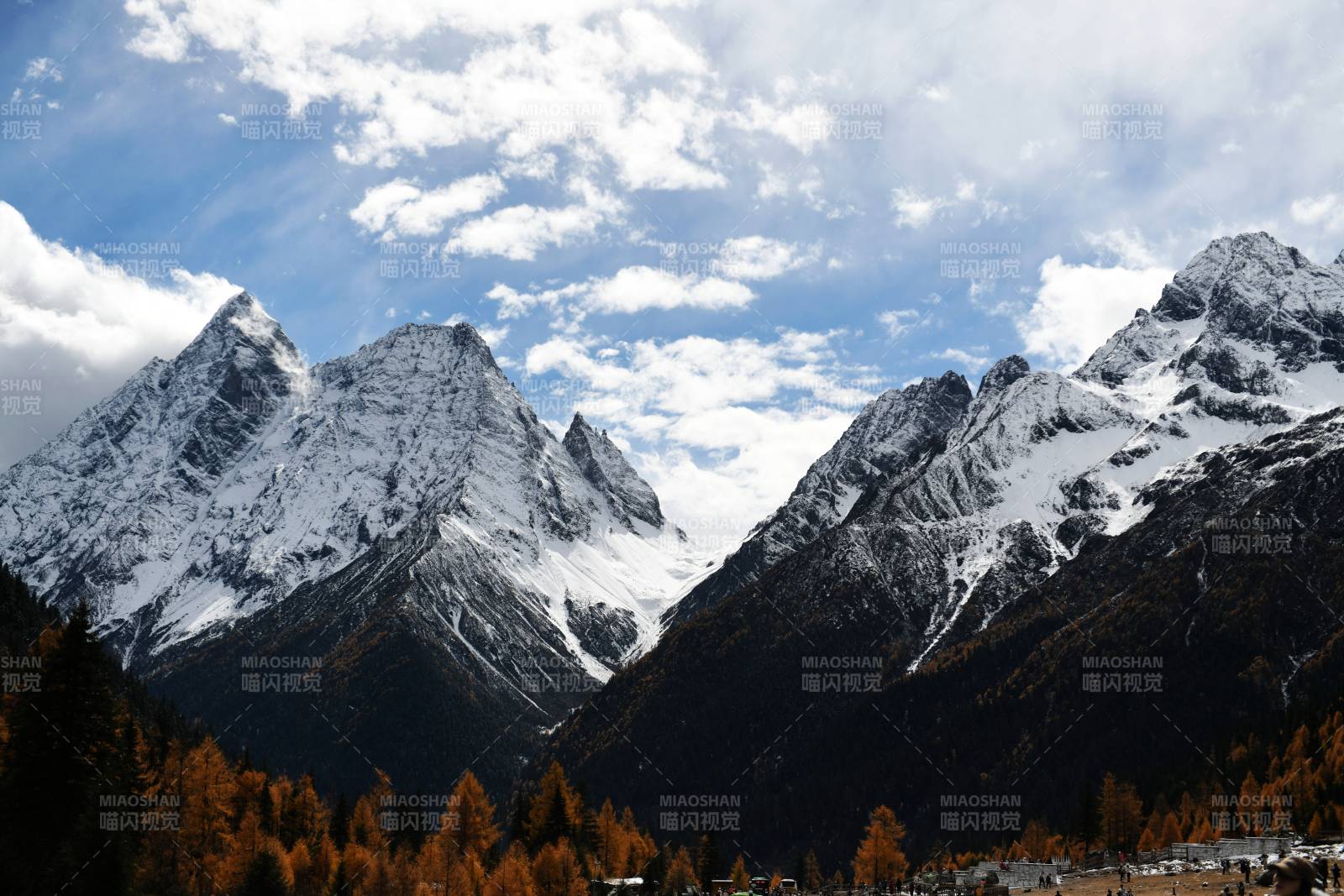 四姑娘山双桥沟雪山秋林美景图片