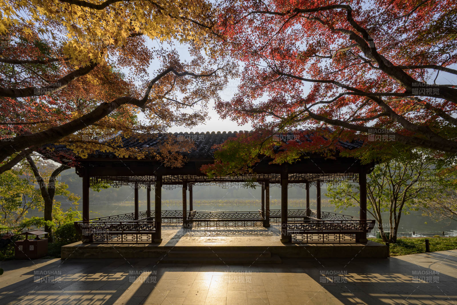 杭州秋色亭影图片