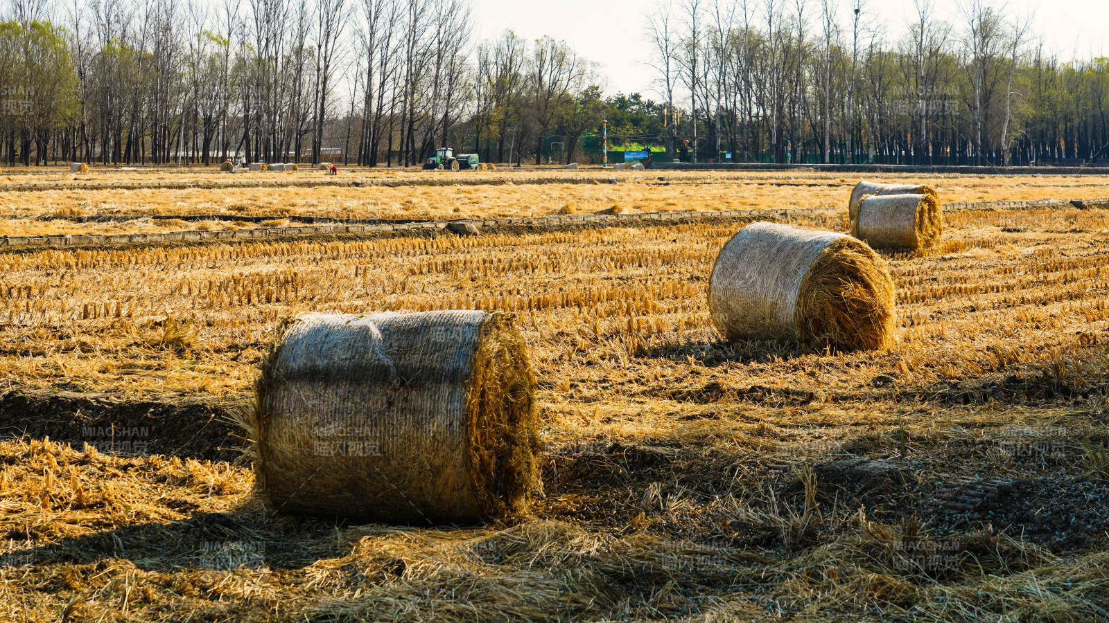 金秋田野草垛图片