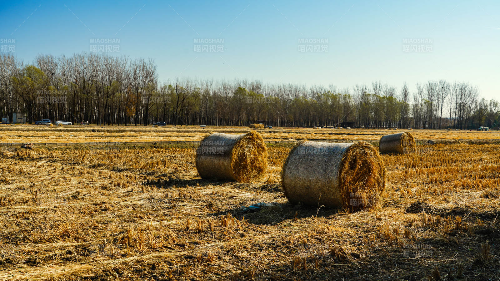 金秋田野草垛图图片