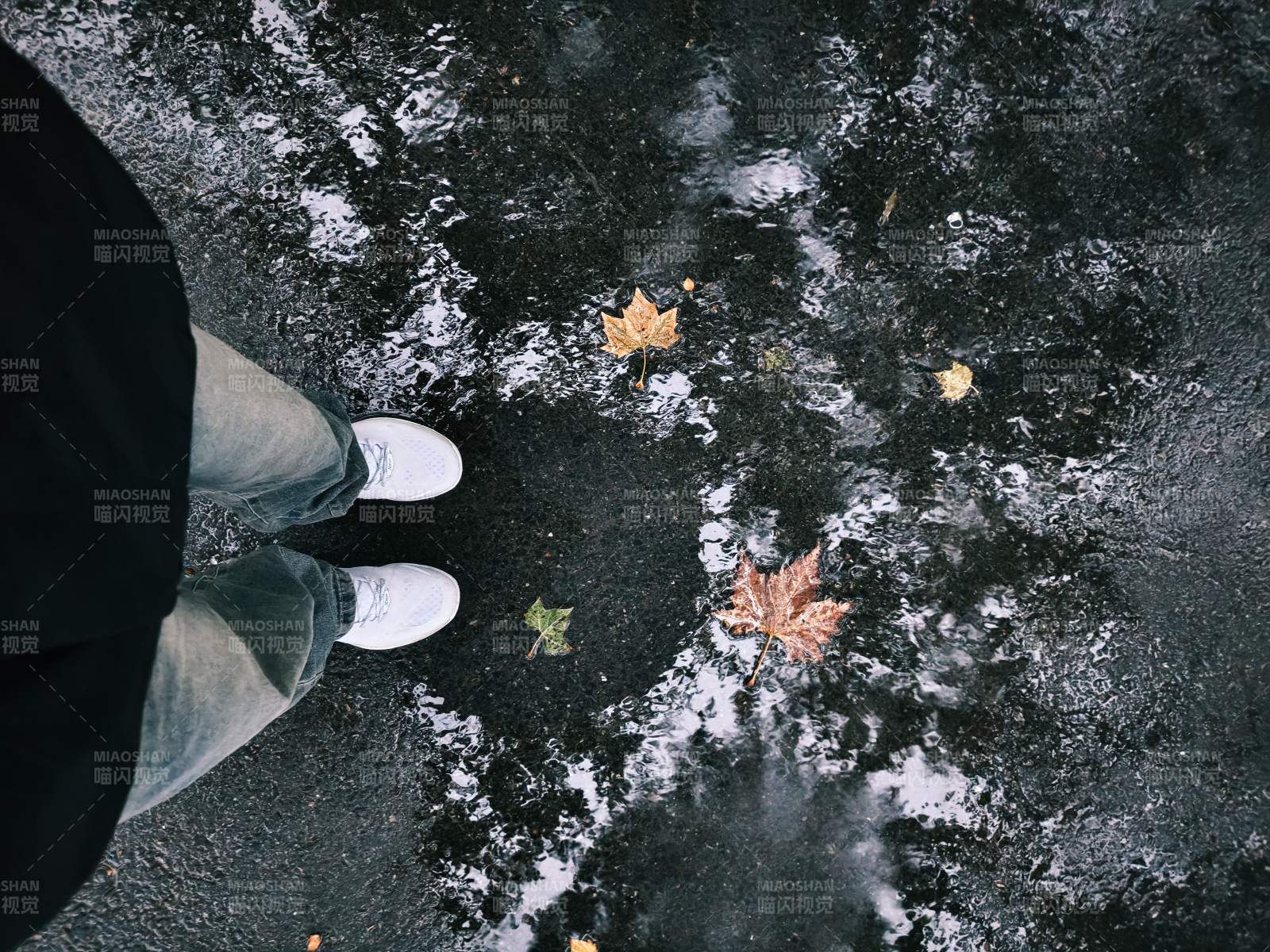 秋叶落雨 步履轻移图片