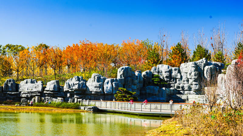 玉河湿地公园秋湖石景图片