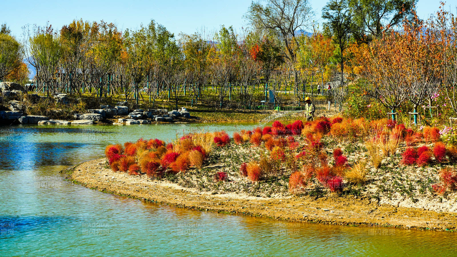 玉河湿地公园秋湖花影图片