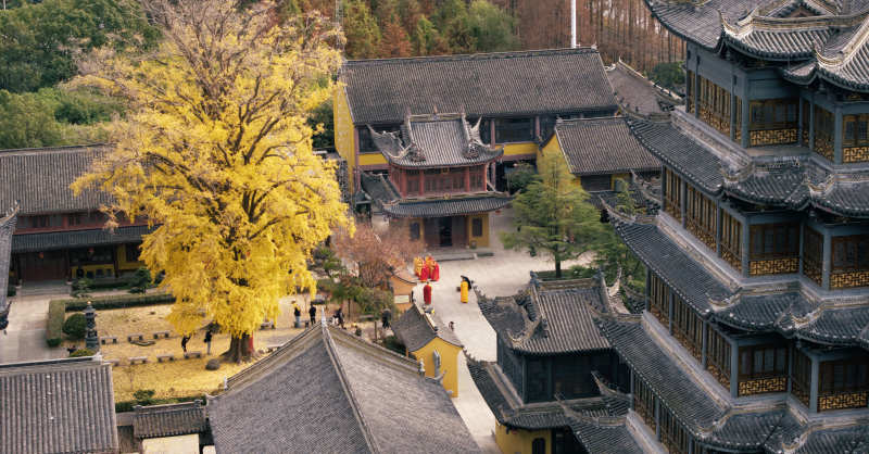 古寺秋色黄叶纷飞图片