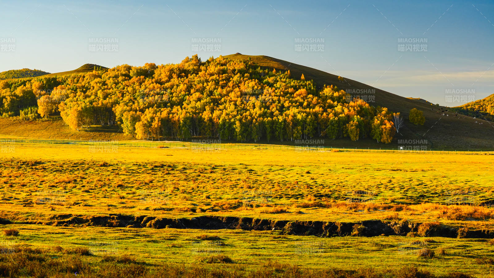 乌兰布统秋日草原风光图片
