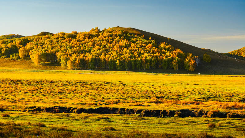 乌兰布统秋日草原风光图片