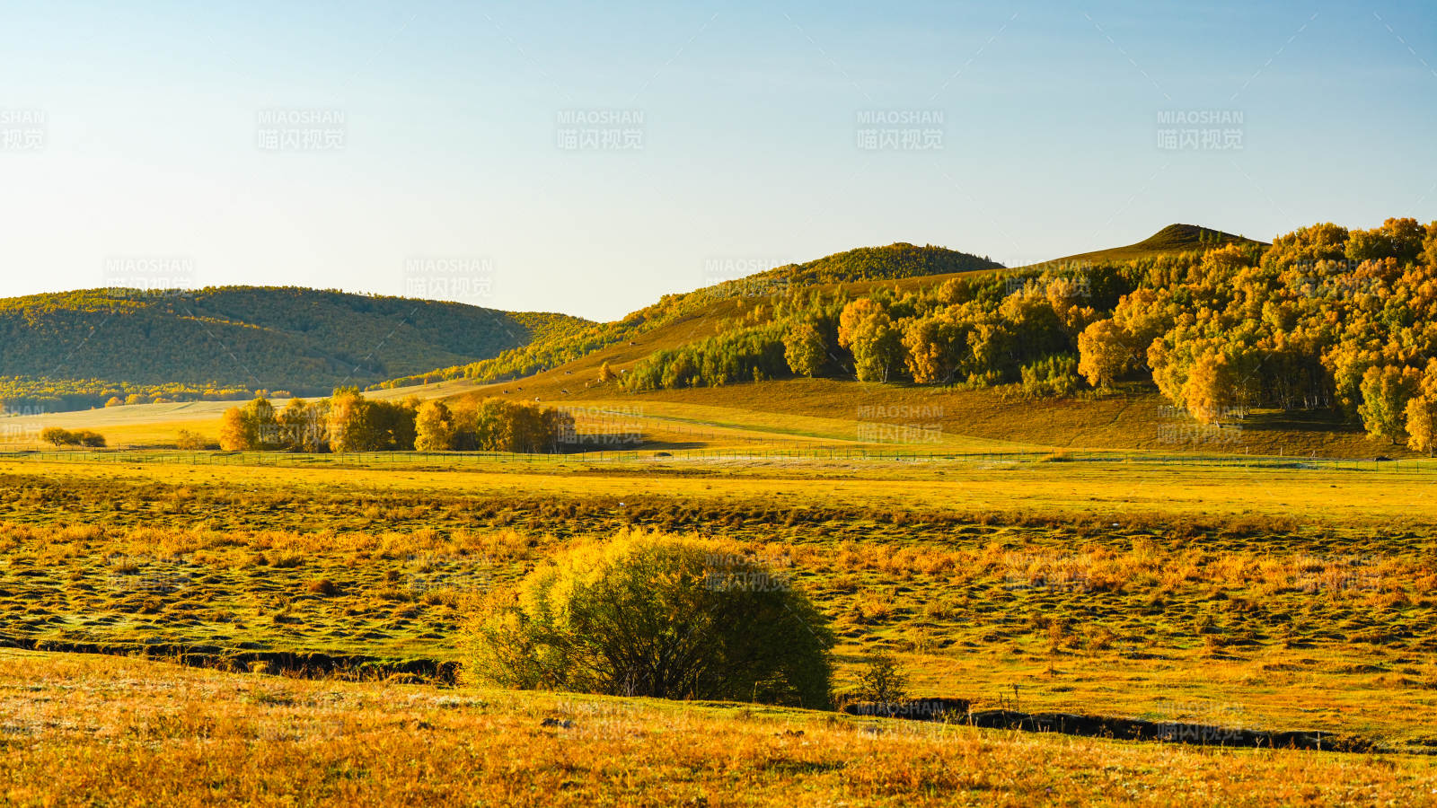 乌兰布统秋日草原风光图片