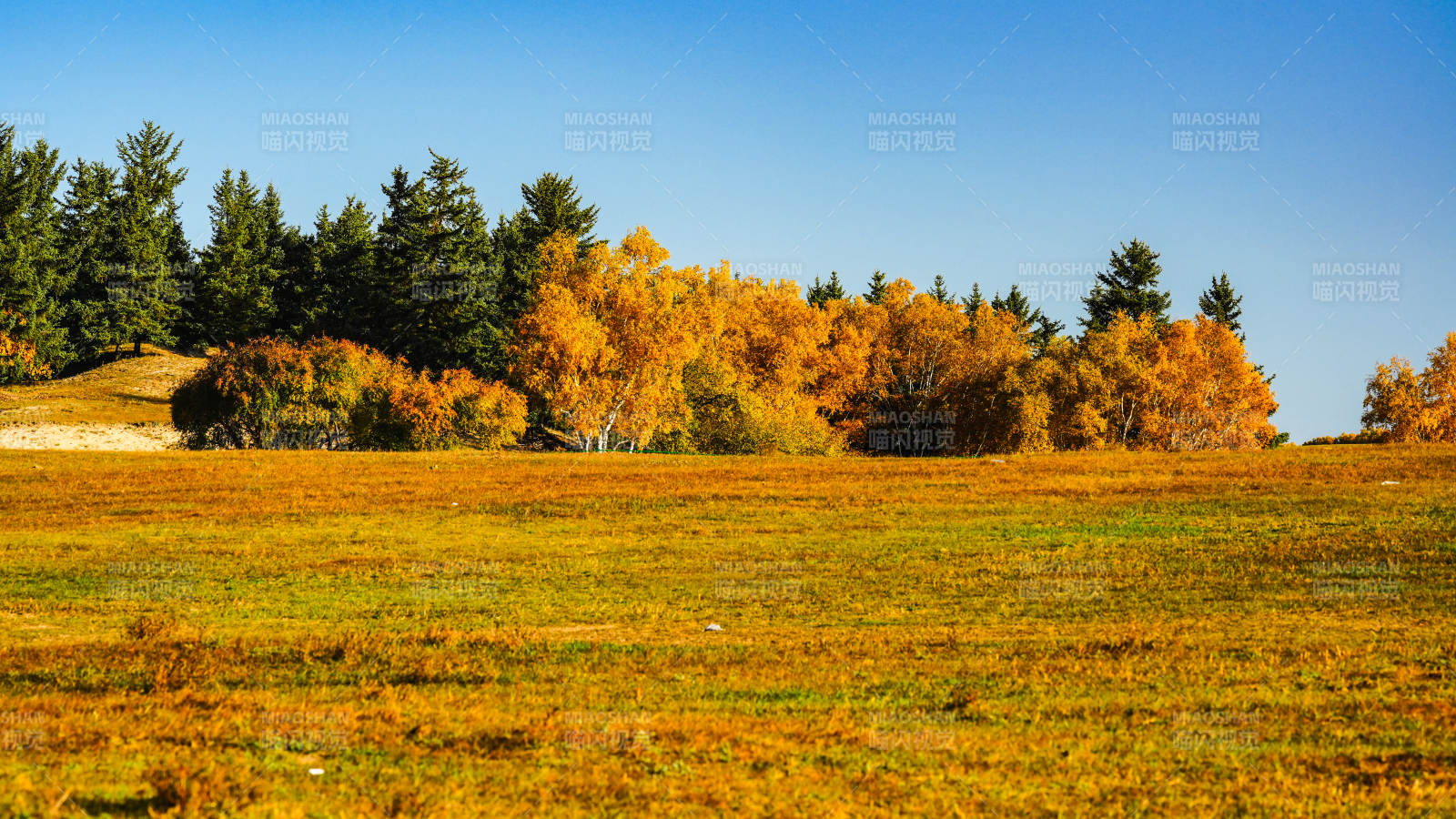 乌兰布统秋日田野风光图片