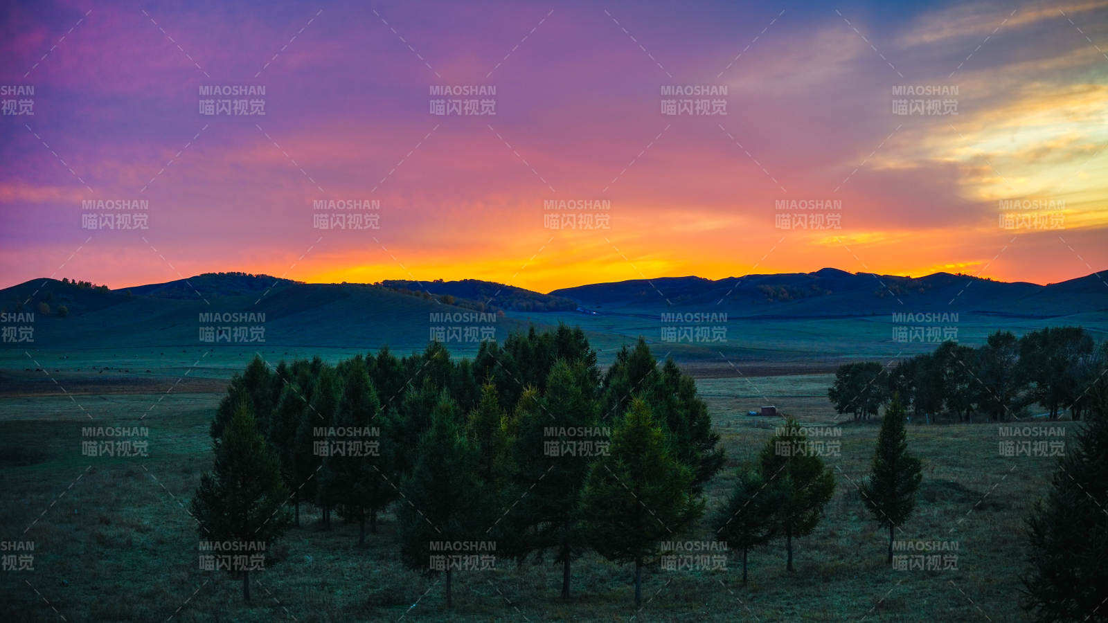 乌兰布统紫霞映山林图片