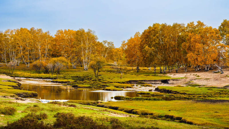 乌兰布统秋林溪畔美景图片