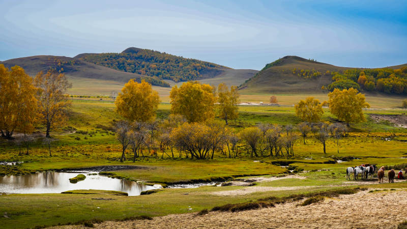 乌兰布统秋日草原风光图片