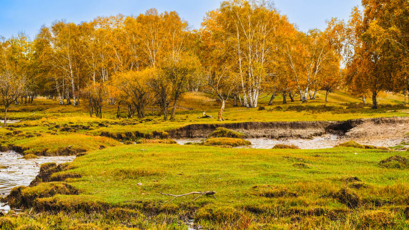 乌兰布统秋日湿地风光图片
