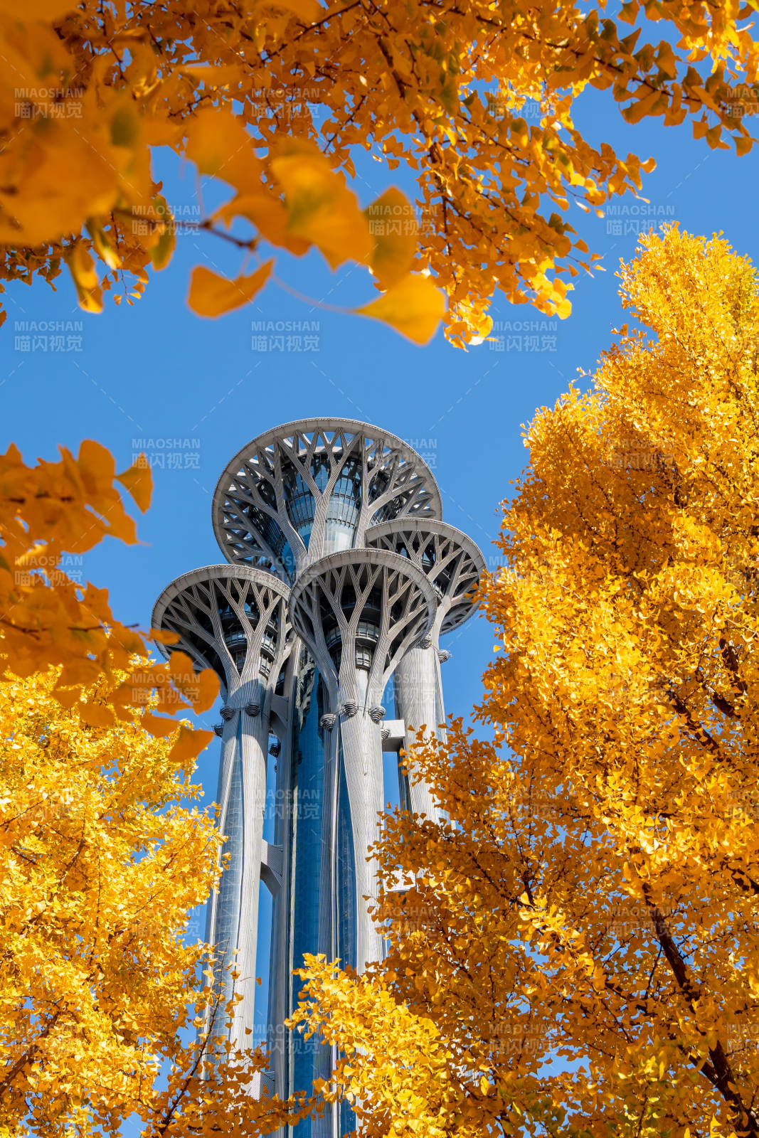 秋叶映奥塔图片