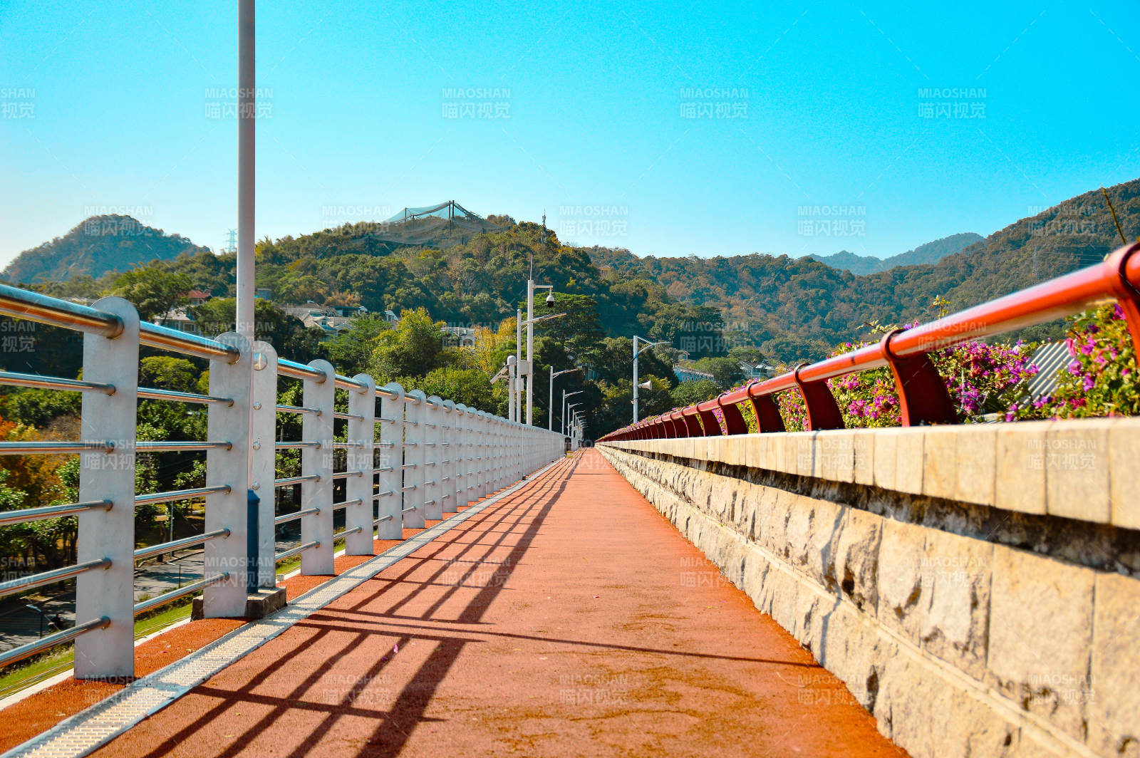 福州森林公园图片