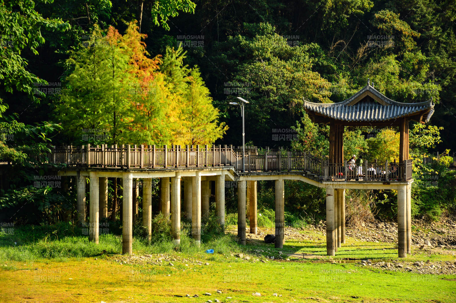 福州森林公园图片