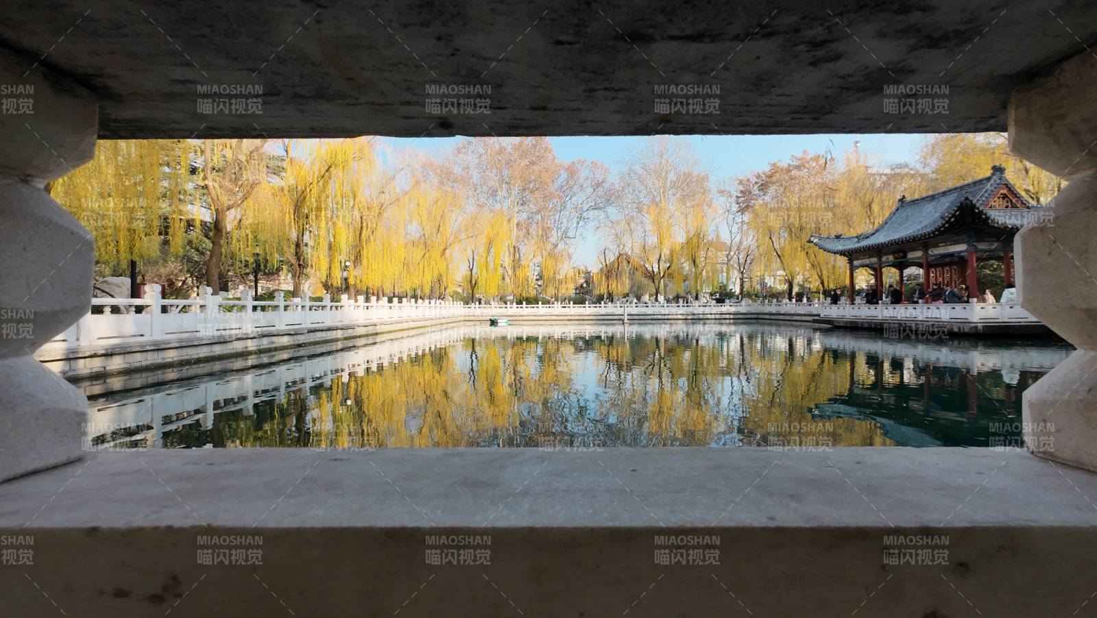 秋水映亭影图片