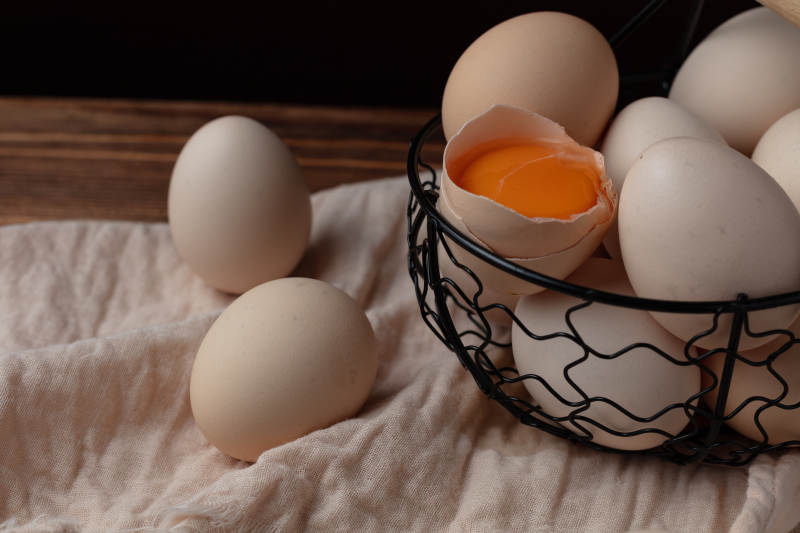 鸡蛋静物图图片