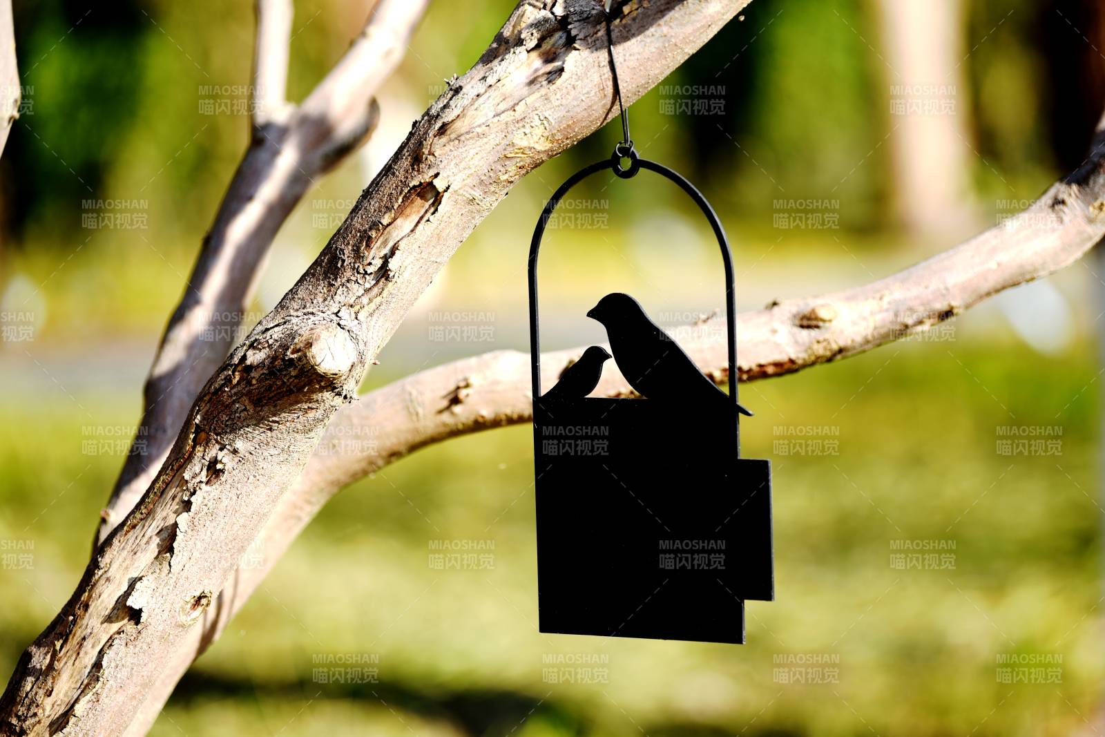公园里爱鸟标识挂枝头图片