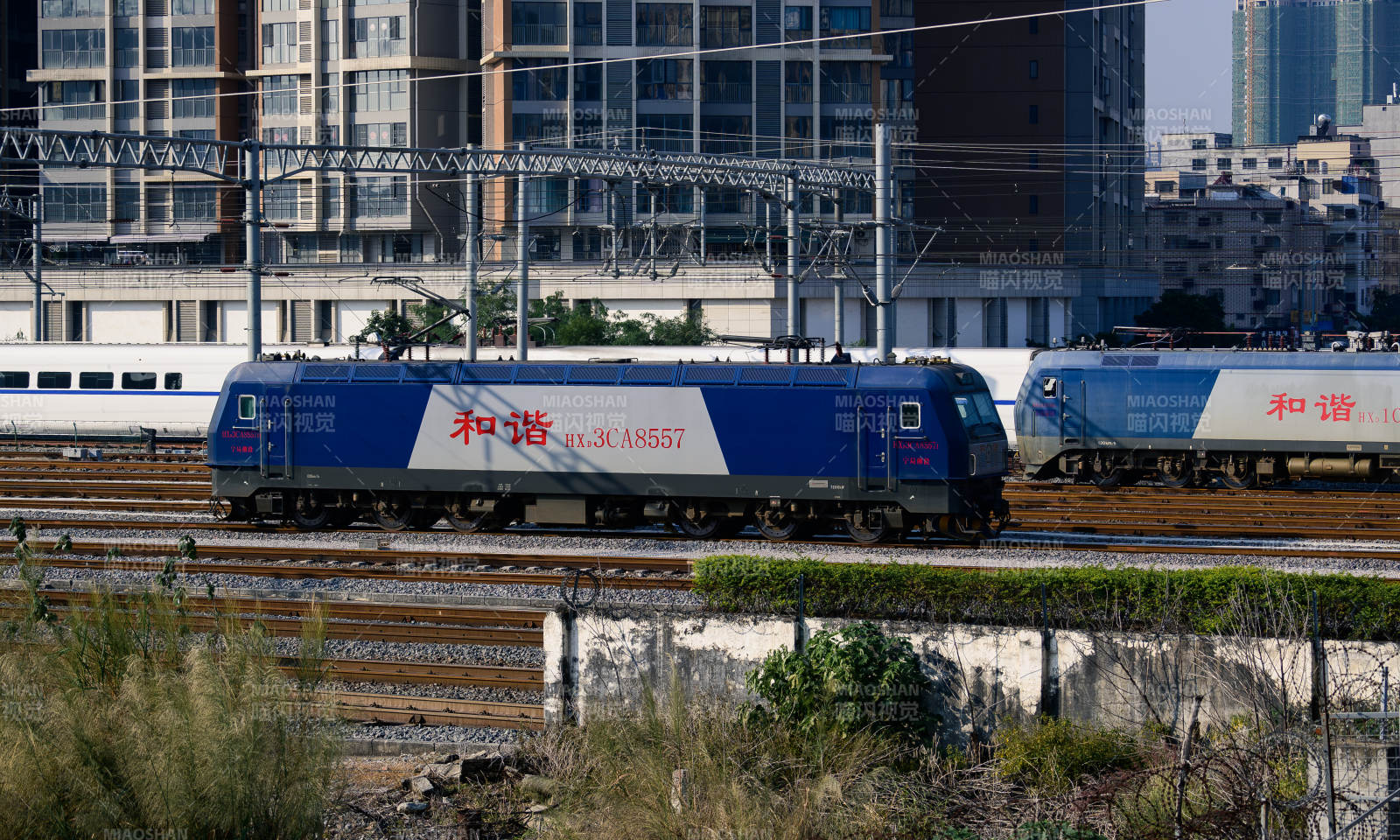 和谐号电型机车图片