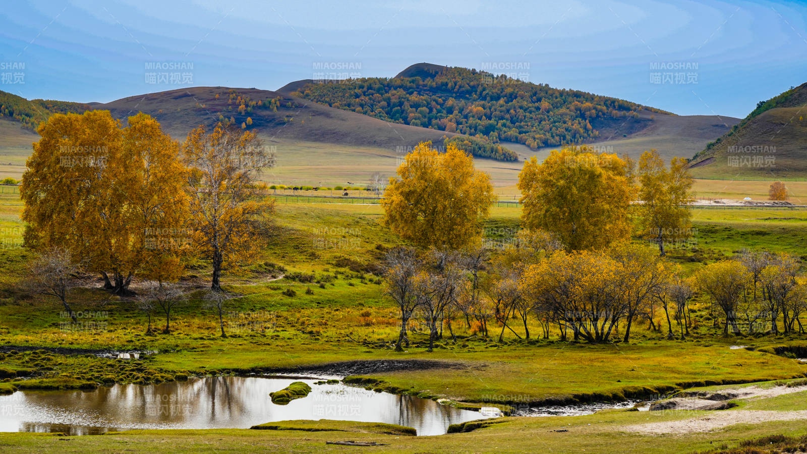 乌兰布统秋日草原风光图片