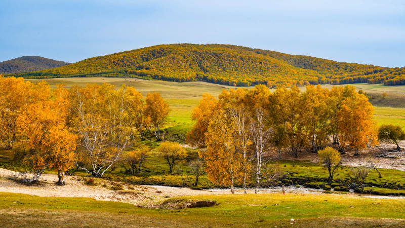 乌兰布统秋日草原风光图片
