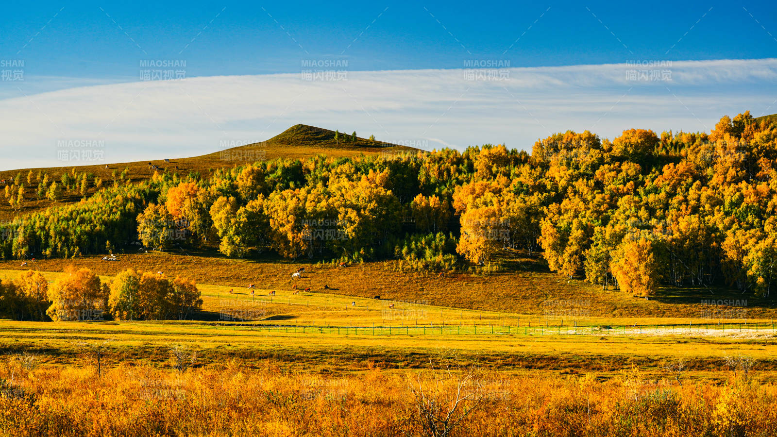乌兰布统秋日草原风光图片