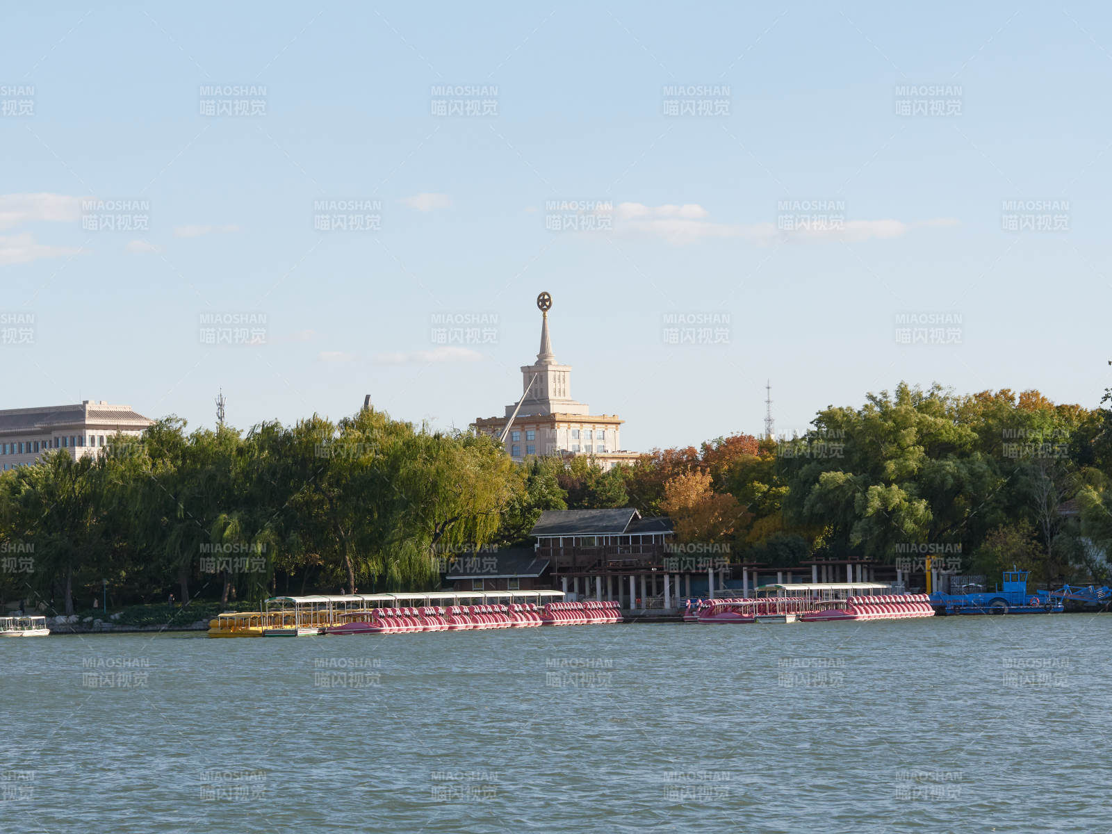 北京玉渊潭公园内的湖畔风光 塔影绰约图片