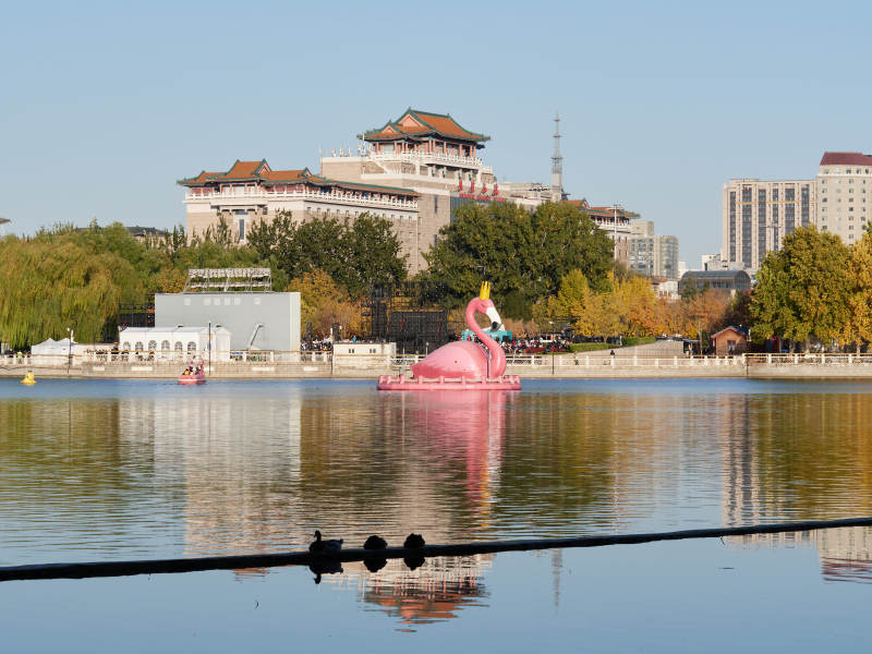 北京莲花池公园湖中粉红鸭船图片