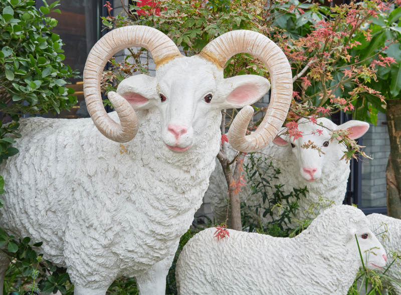 羊群雕像花园景观图片