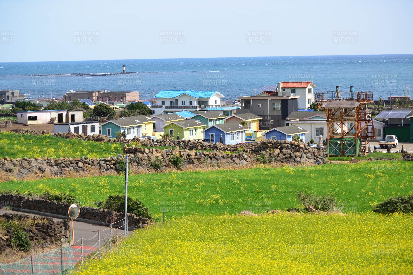韩国济州岛海边彩色小屋与花田图片