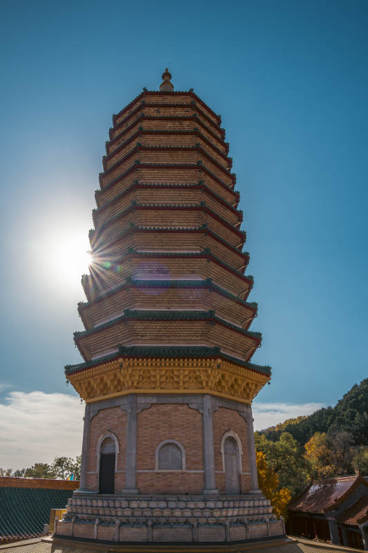 佛牙舍利塔映日辉图片