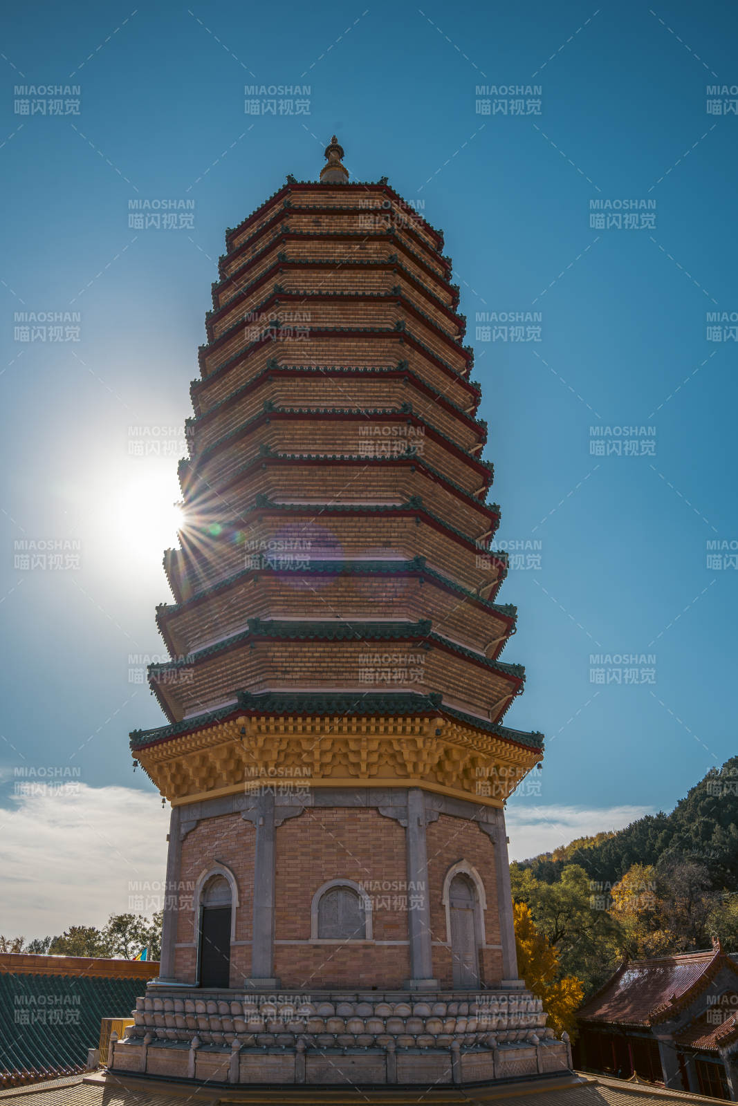 佛牙舍利塔映日辉图片