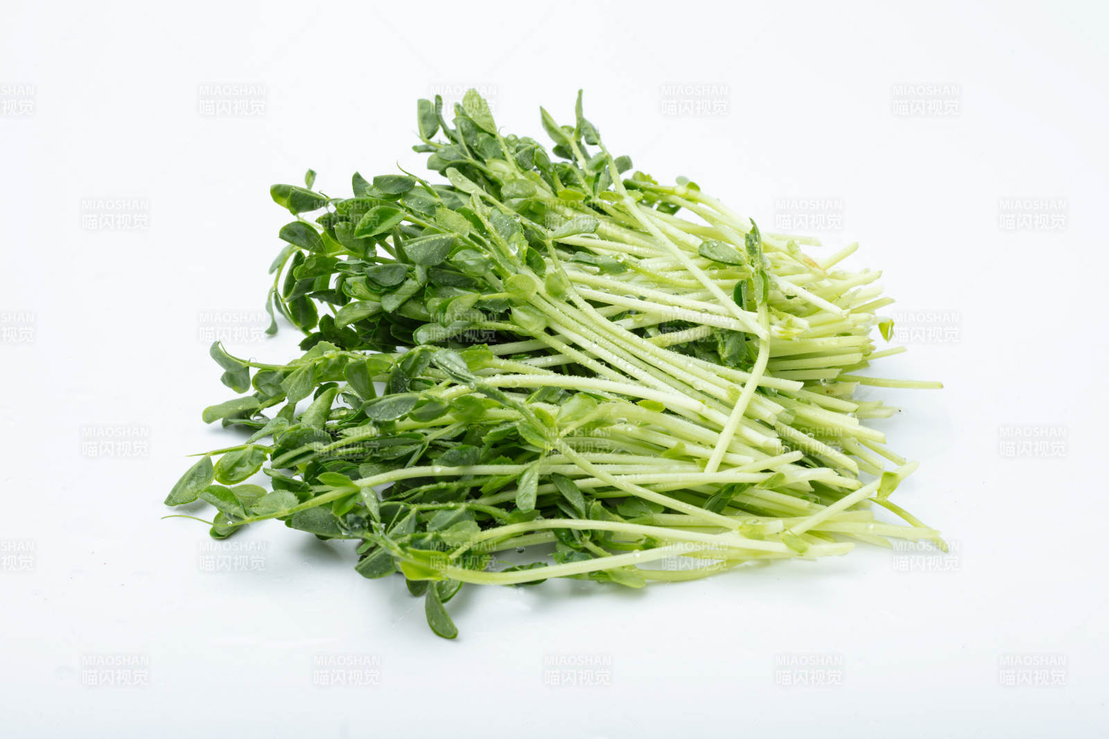 新鲜豌豆苗图片