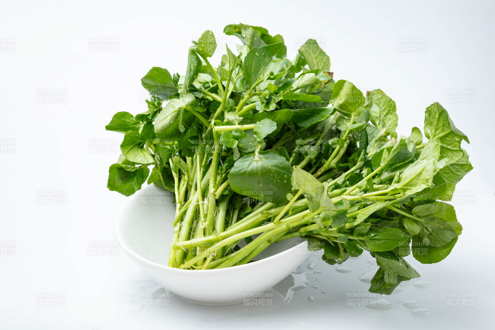 新鲜西洋菜图片