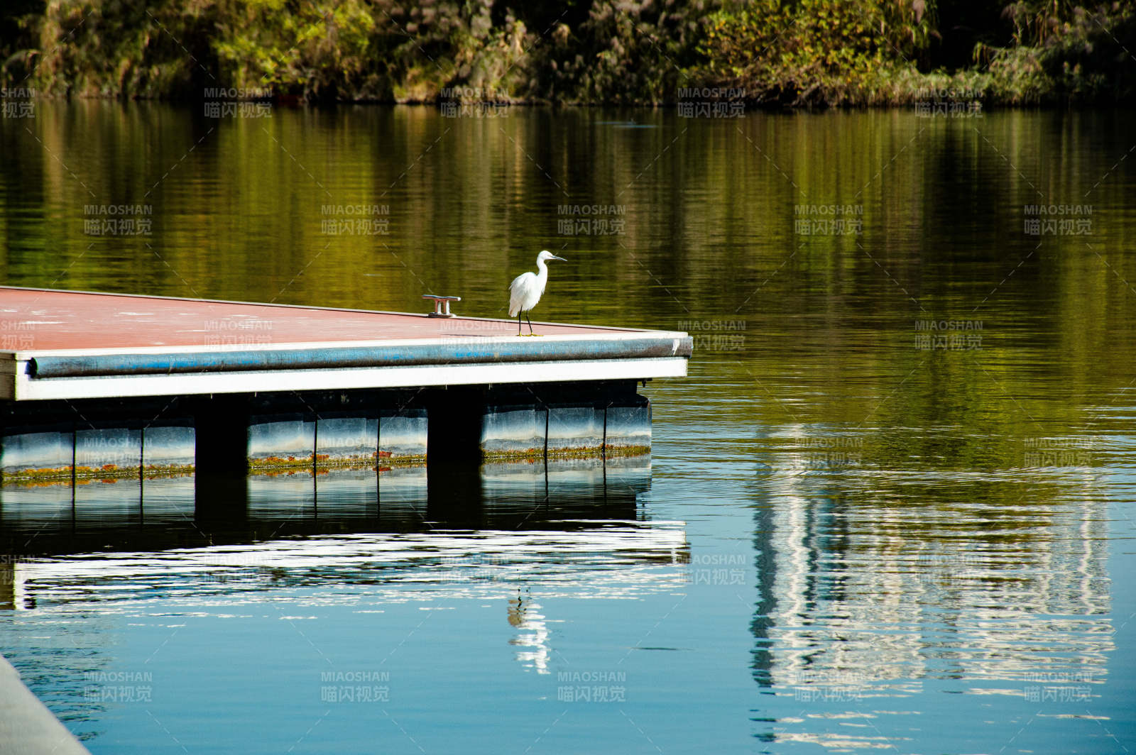 厦门圆月公园图片