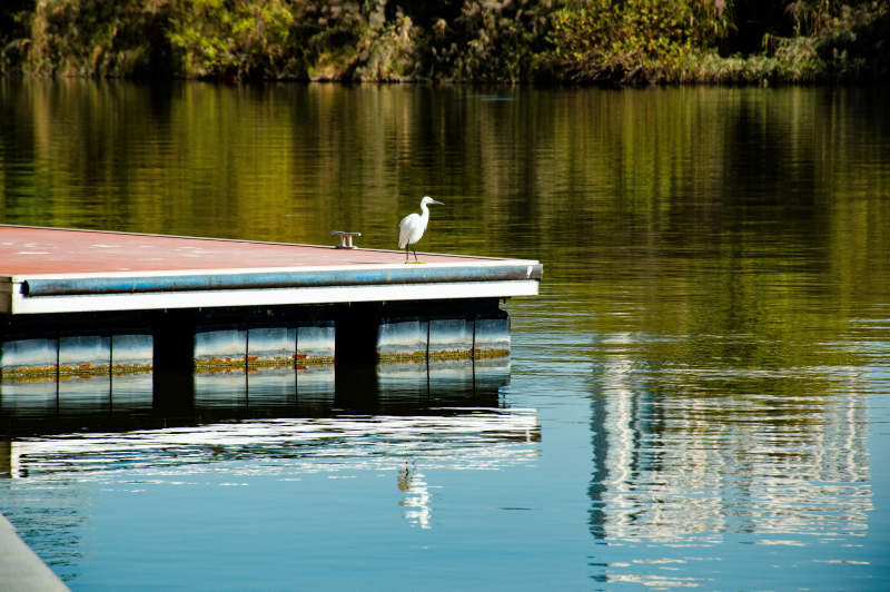 厦门圆月公园图片