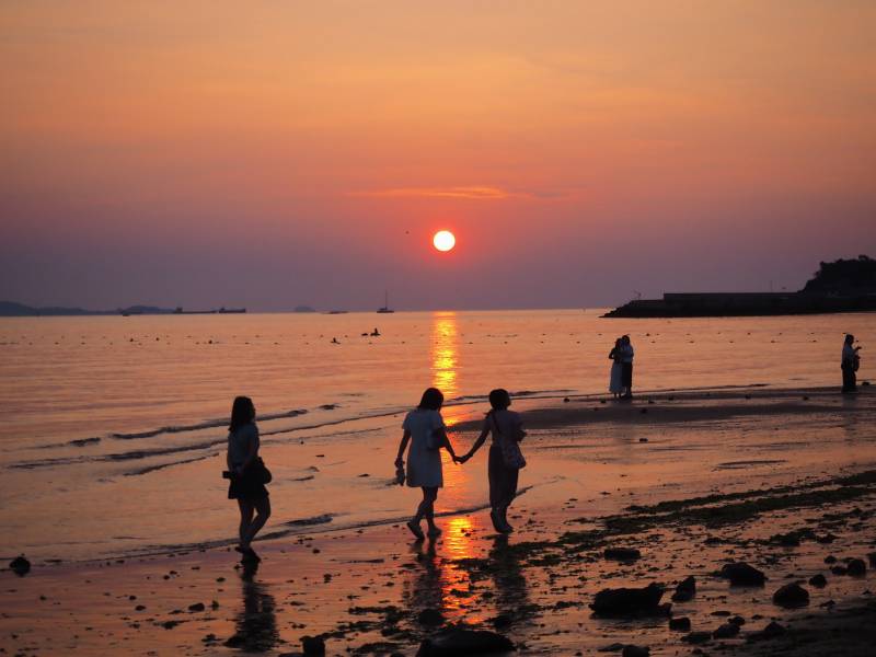 日出下的海滩剪影图片