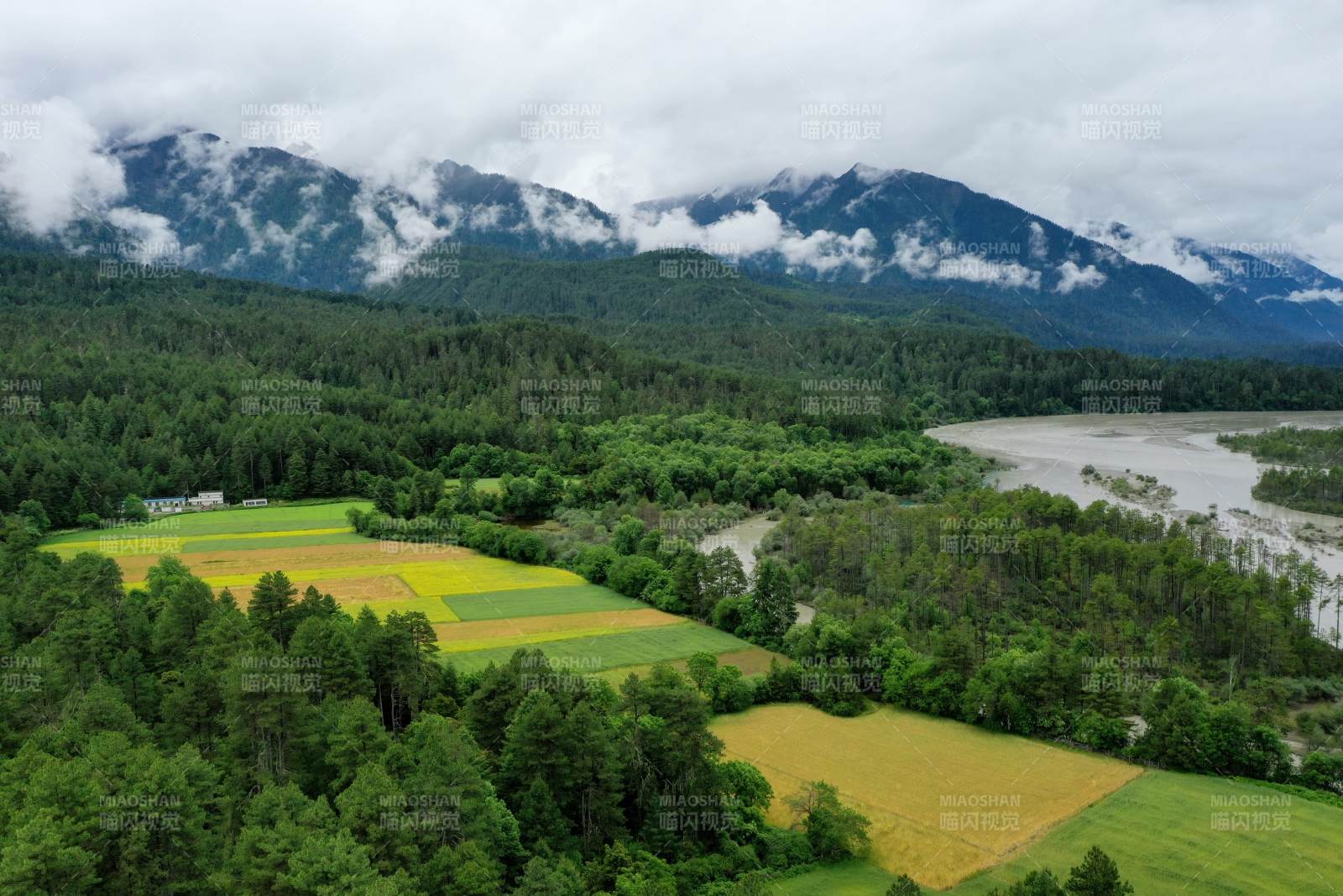 鲁朗林海风光图片