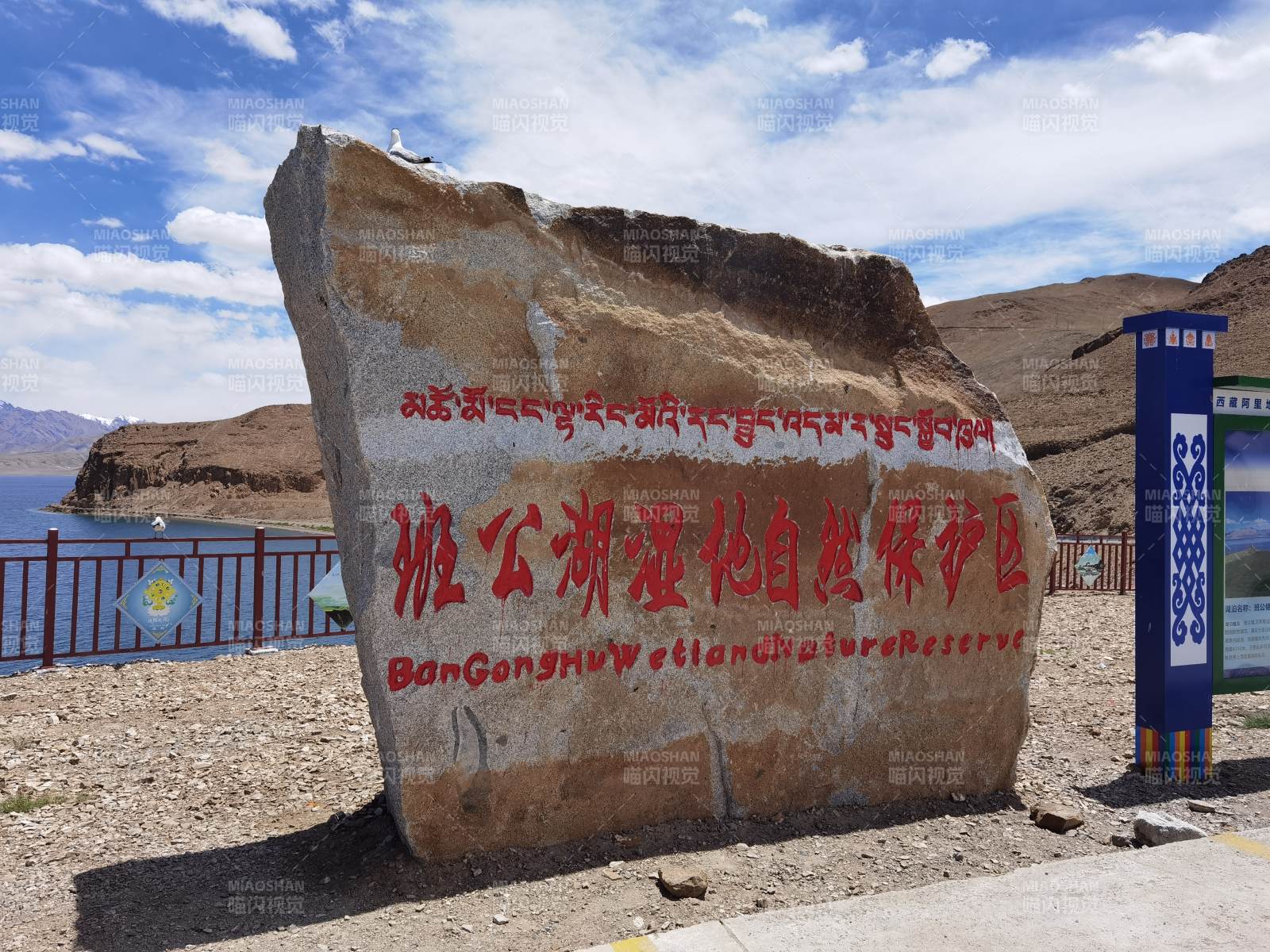 班公湖湿地保护区图片