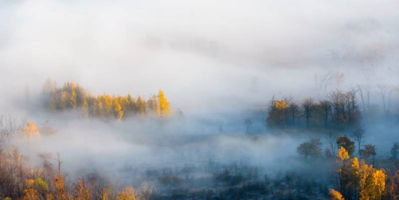晨曲雾锁秋林图片