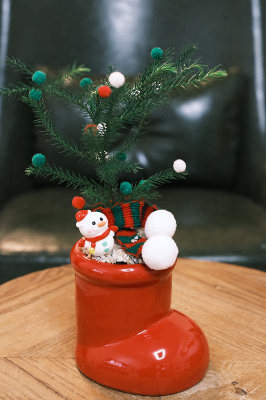 圣诞袜盆栽 小圣诞树 圣诞快乐图片