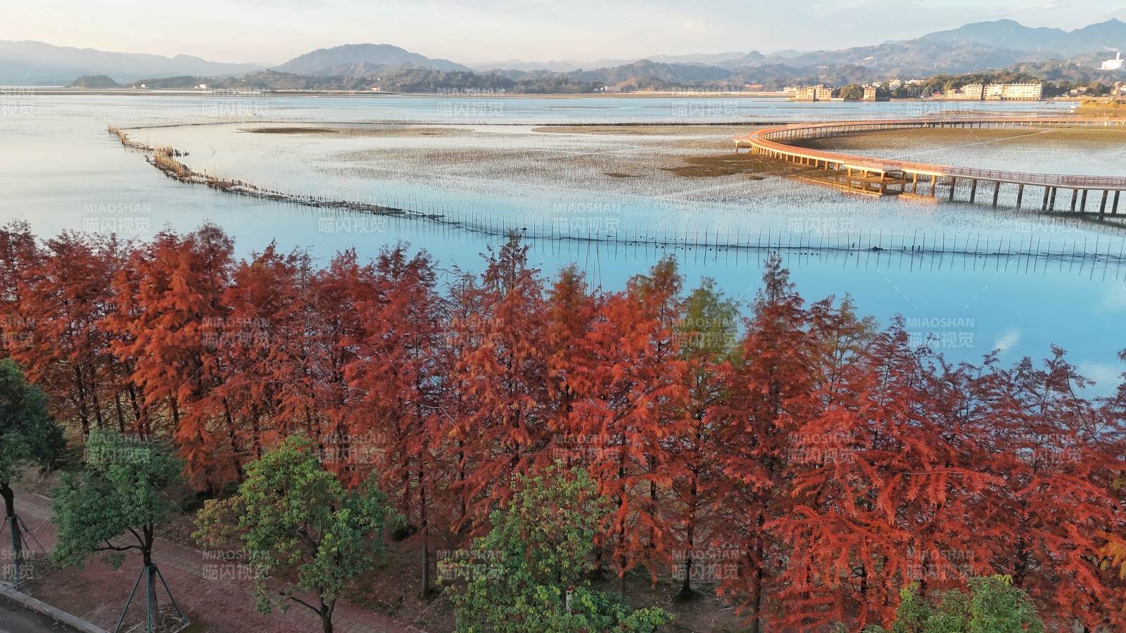 秋色湖畔红叶映水（江边村）图片