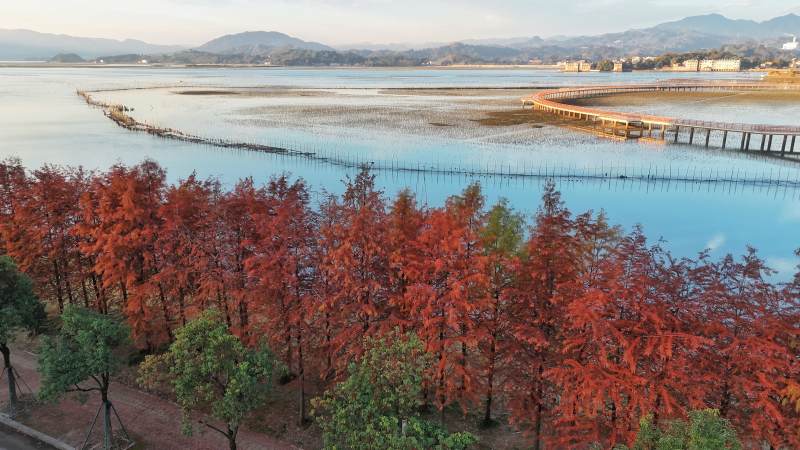 秋色湖畔红叶映水（江边村）图片