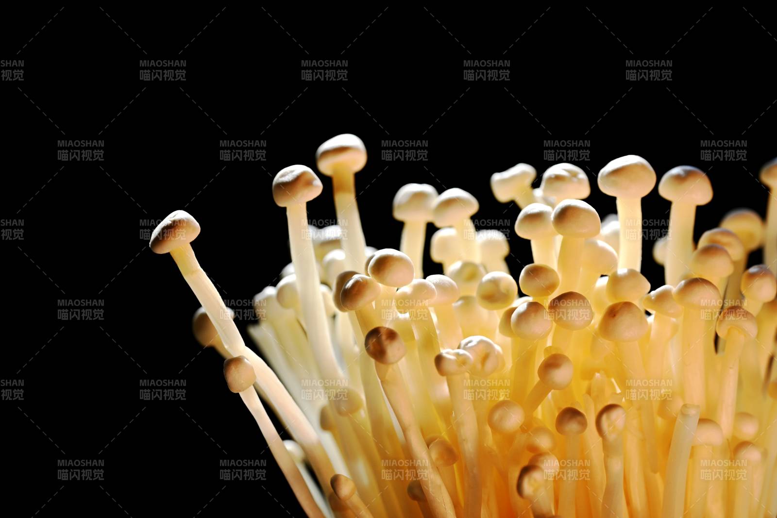 金针菇特写图片