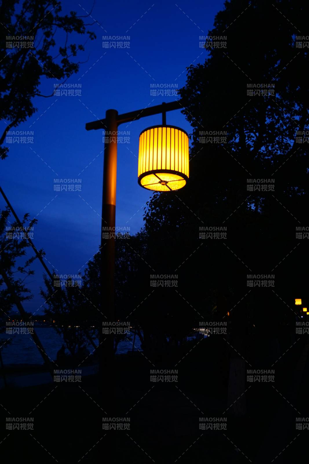 夜灯映树影图片